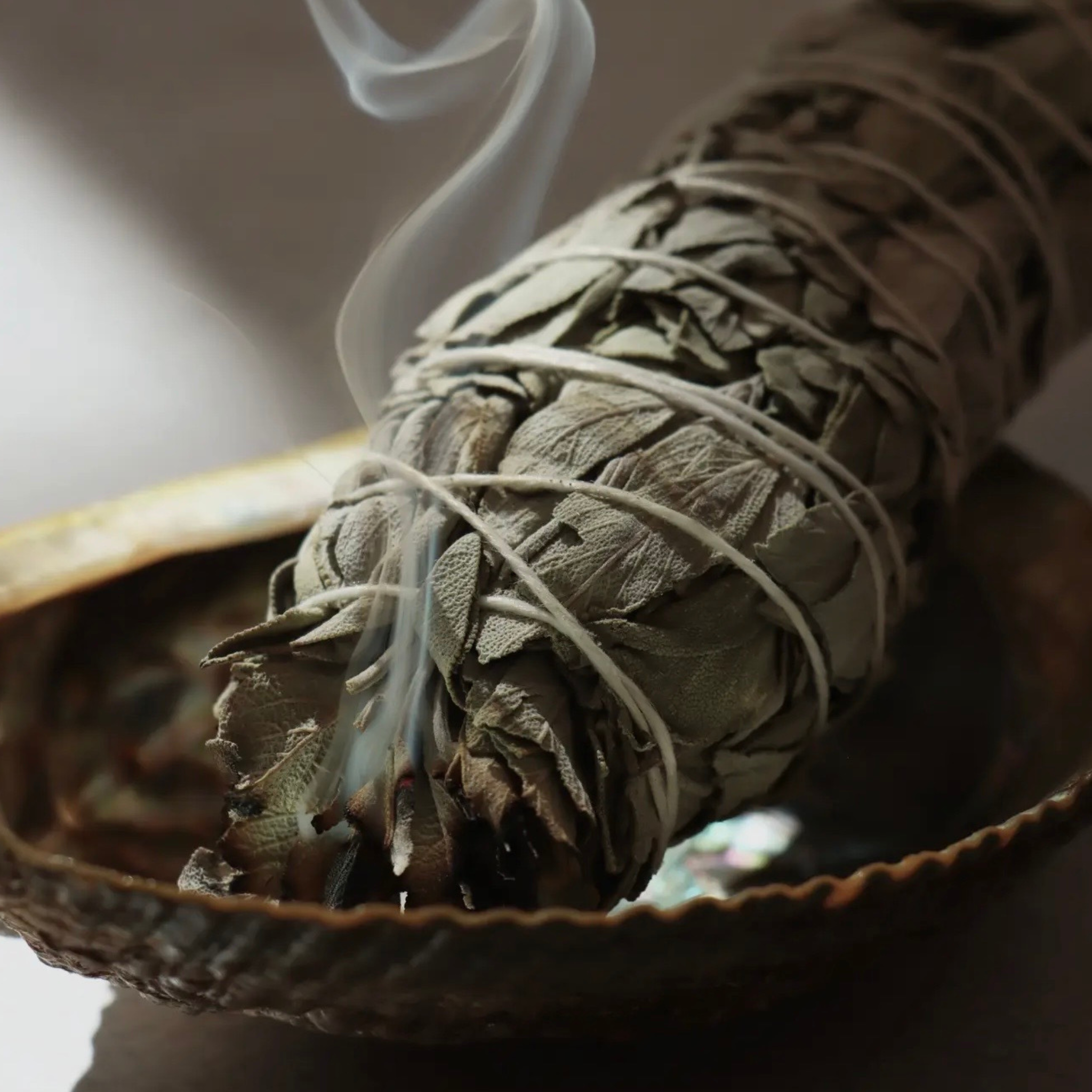 Antorcha de Salvia Blanca de California Premium