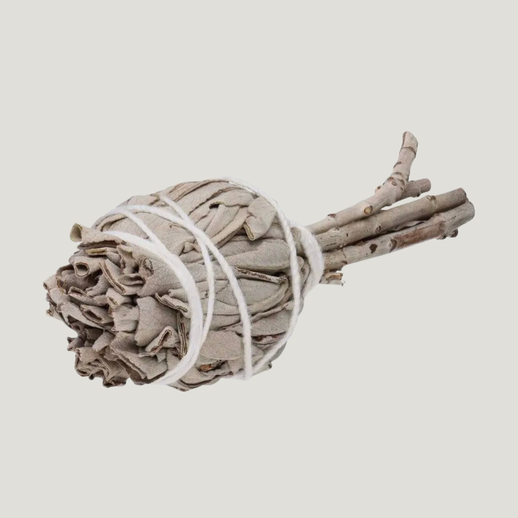 Antorcha de Salvia Blanca de California Premium