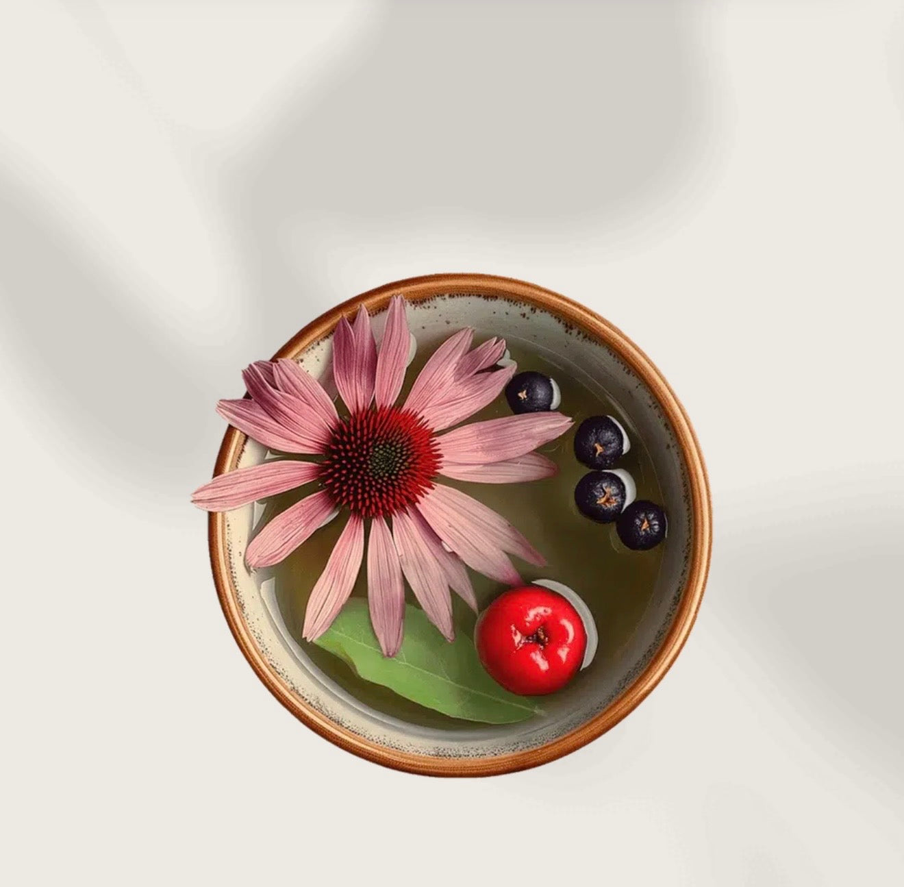 Té Defensas Naturales