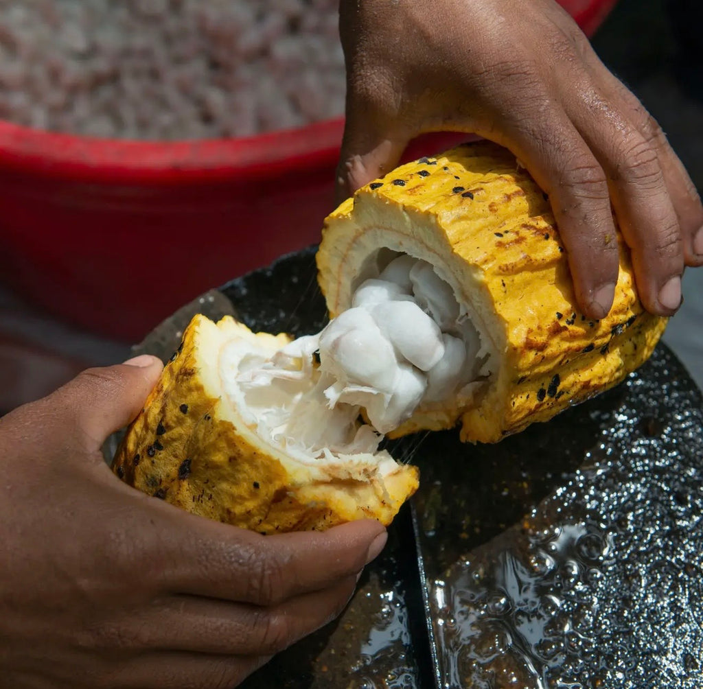 Zumo Hidratante de Fruta de Cacao